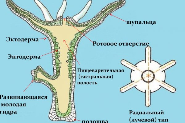 Кракен ты знаешь где покупать