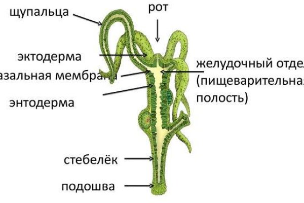 Ссылка кракен зеркало тор